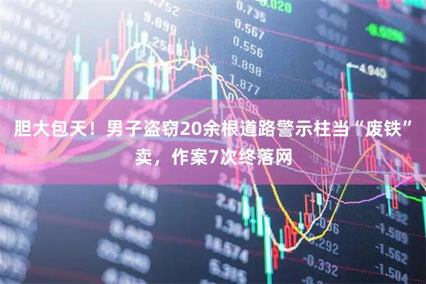 胆大包天！男子盗窃20余根道路警示柱当“废铁”卖，作案7次终落网