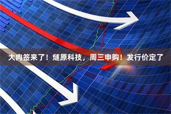 大肉签来了！燧原科技，周三申购！发行价定了